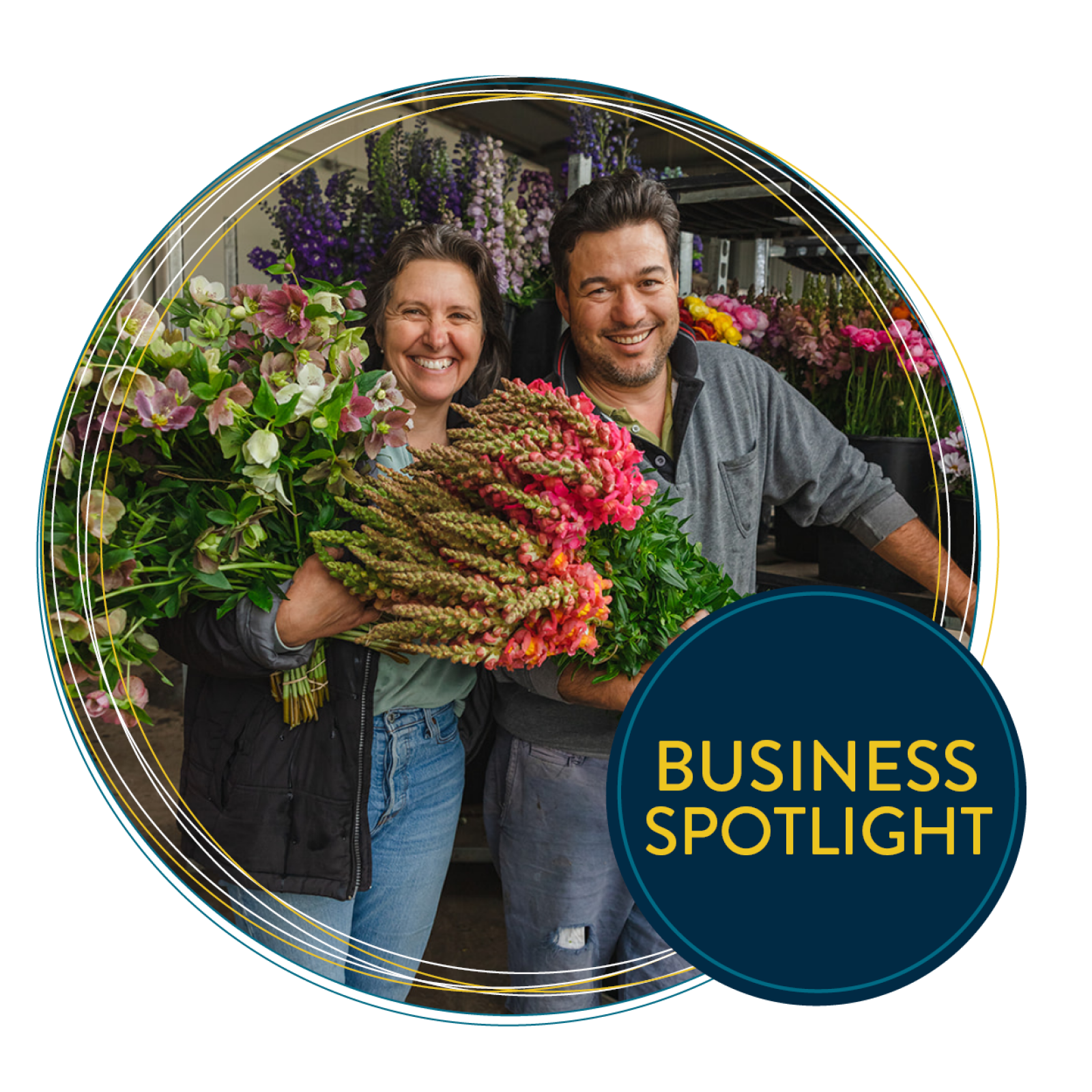 Business Spotlight Circle Templatee for Homepage