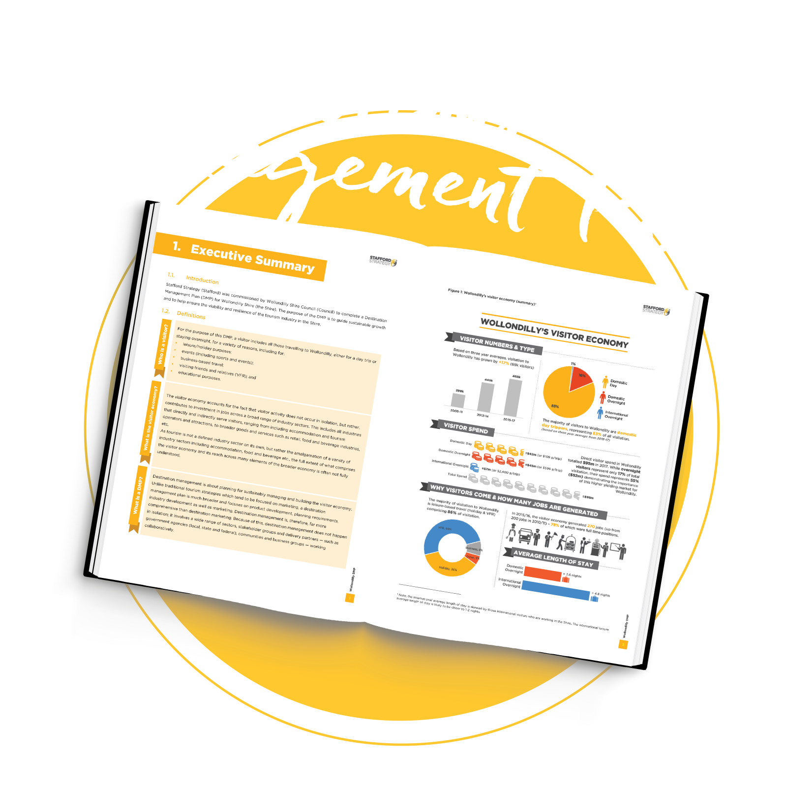 Destination Management Plan Icon