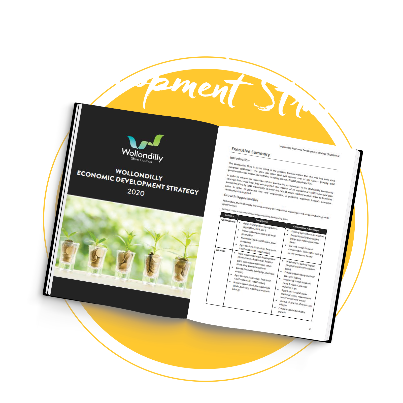 Economic Development Strategy Icon
